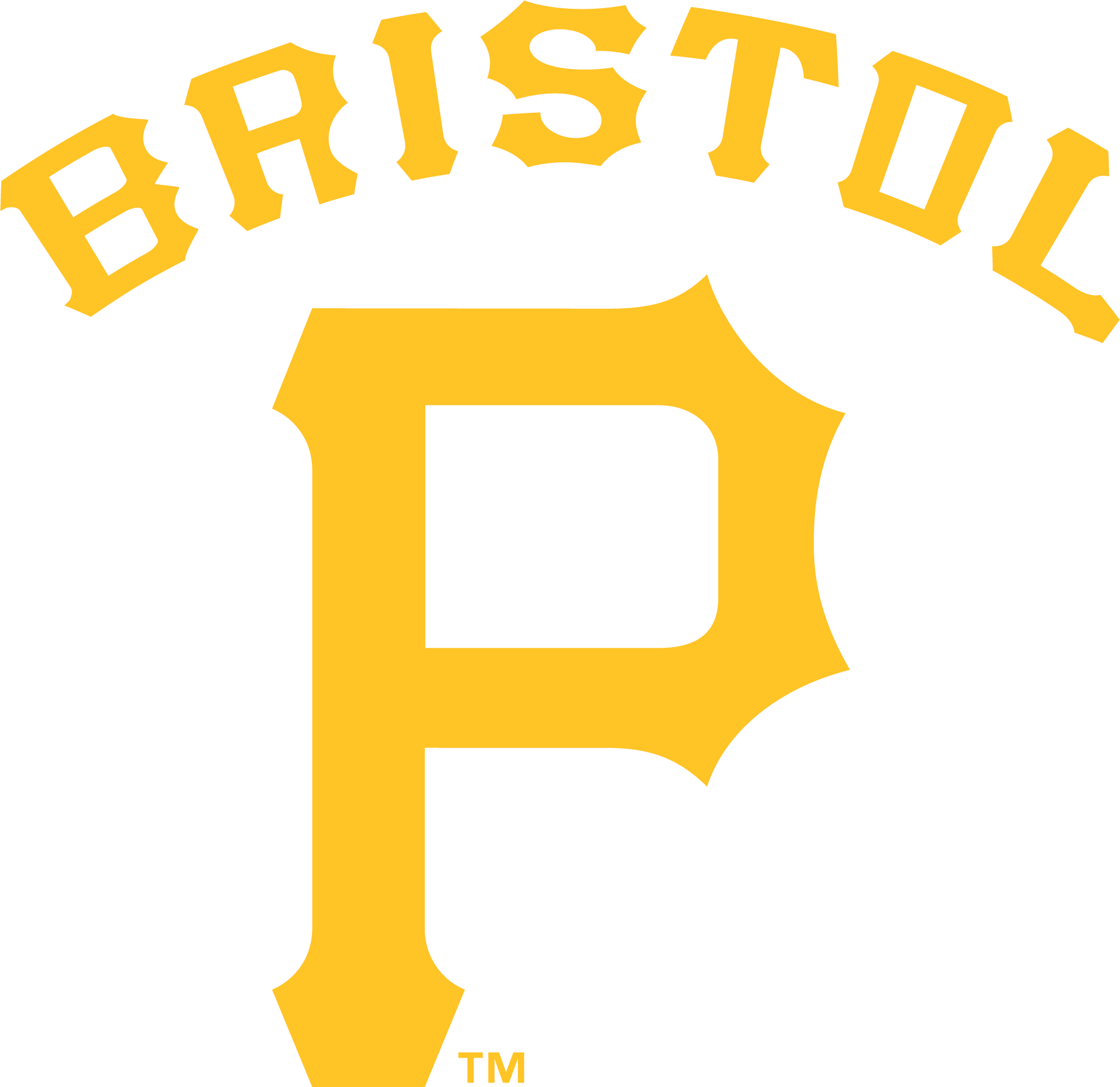 Bristol Pirates 2014-Pres Primary Logo iron on transfers for T-shirts